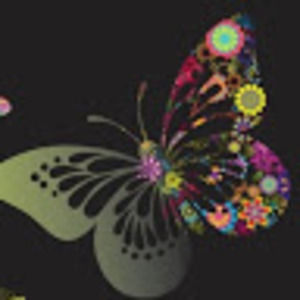 Meet your Posher, Zoe